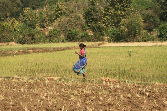 Certified Organic Fiber: Building Supply Chains Free From Exploitation